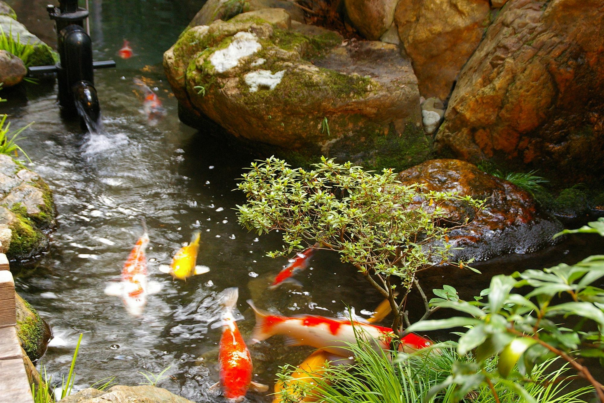 Ryokan Sawaya Honten Kyoto Bagian luar foto